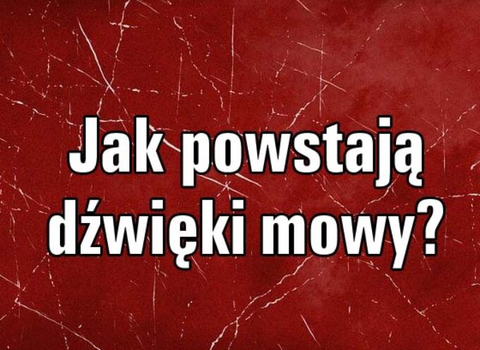 Jak powstają dźwięki mowy?